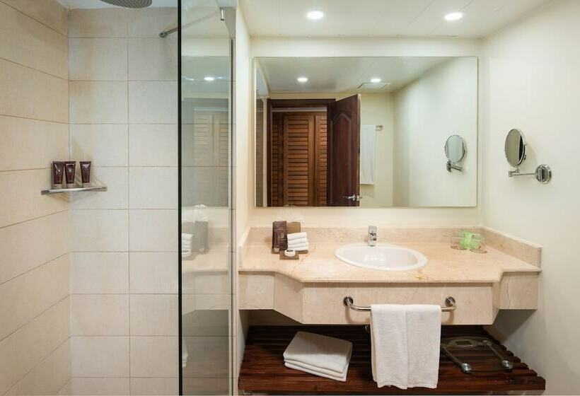 سوئیت جونیور پریمیوم با چشم‌انداز دریا, Impressive Premium Punta Cana - All Inclusive
