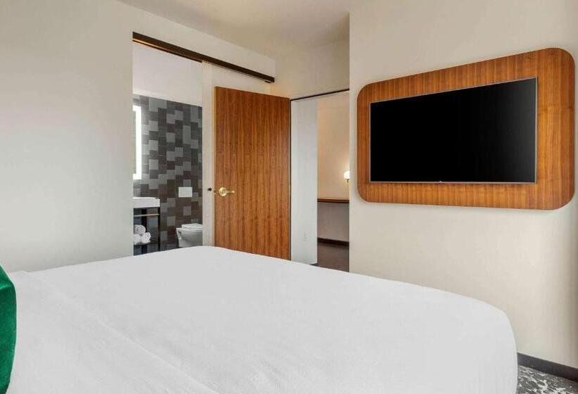 سوئیت با تخت بزرگ, Cambria Hotel Boston Downtown   Seaport