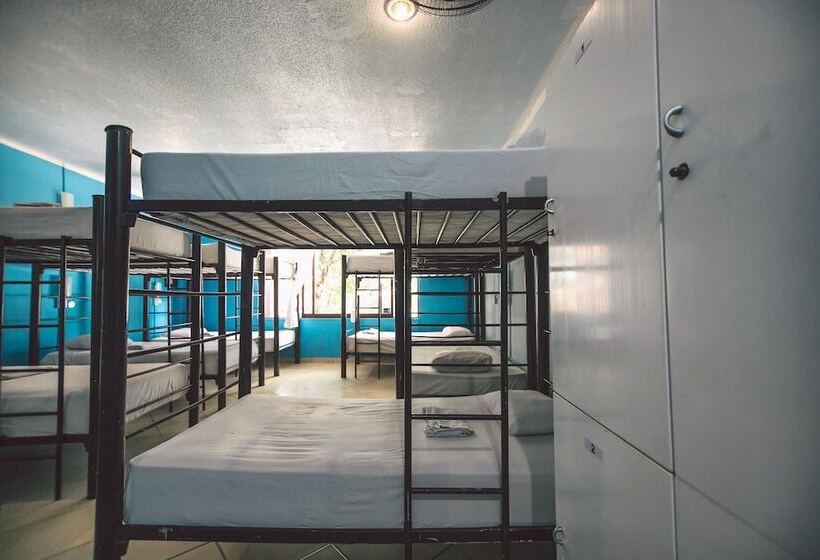 تختخواب در اتاق مشترک, 3b Wellness Hotel & Hostel
