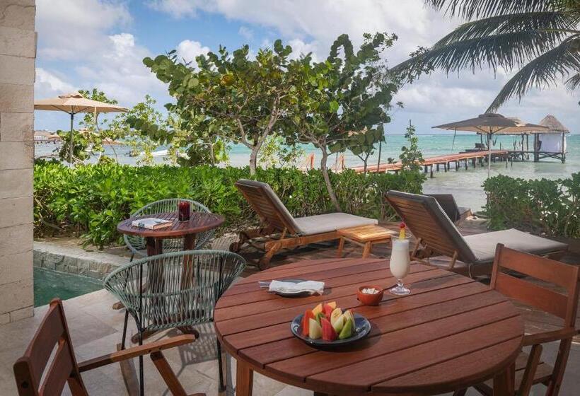 سوییت, Alea Tulum