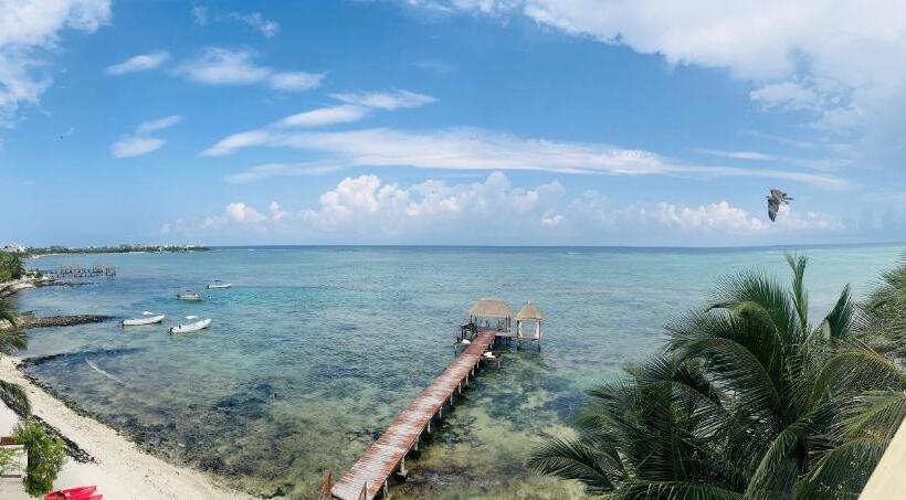 سوئیت پنت هاوس, Alea Tulum