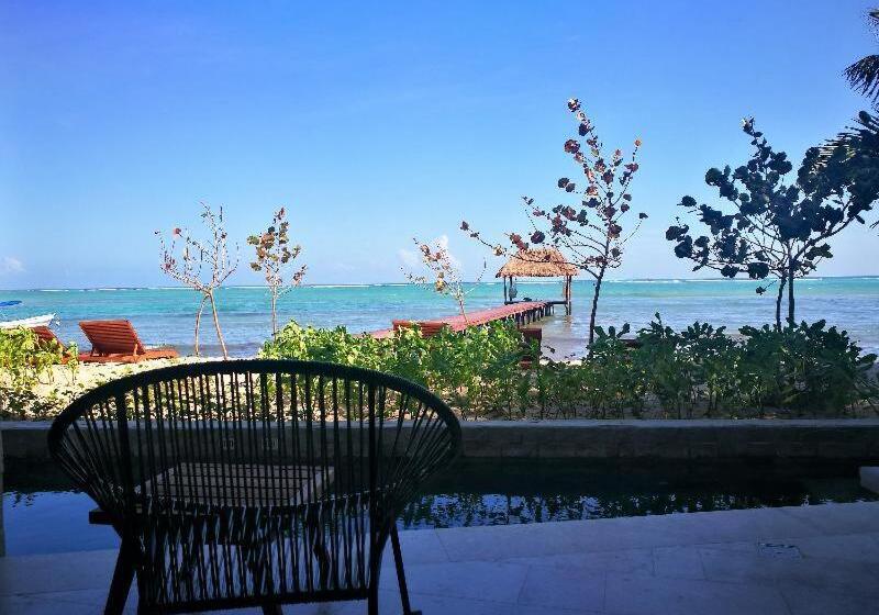 اتاق استاندارد, Alea Tulum
