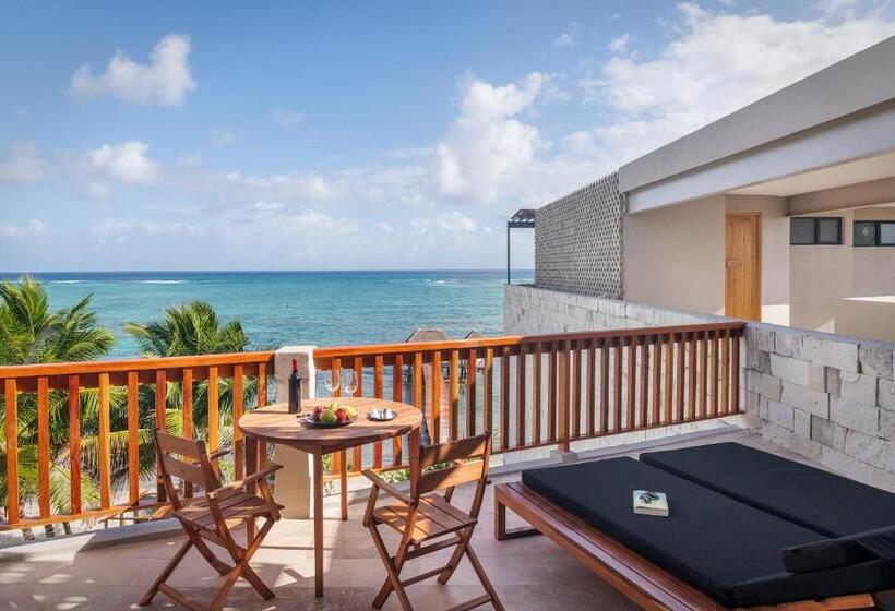 سوئیت پنت هاوس, Alea Tulum