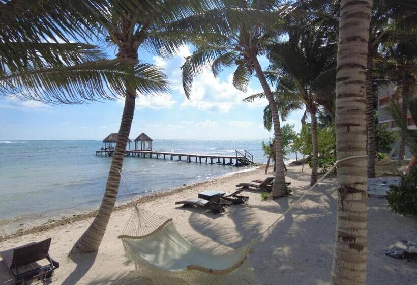 خانه 1 خوابه, Alea Tulum