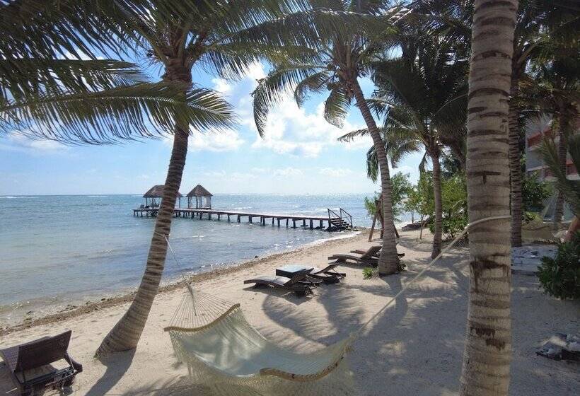 خانه 1 خوابه, Alea Tulum