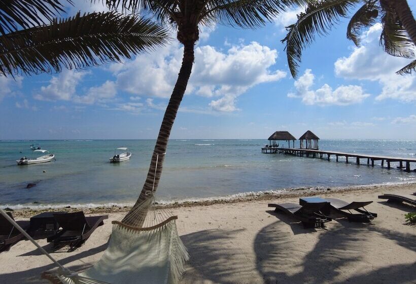 خانه 1 خوابه, Alea Tulum