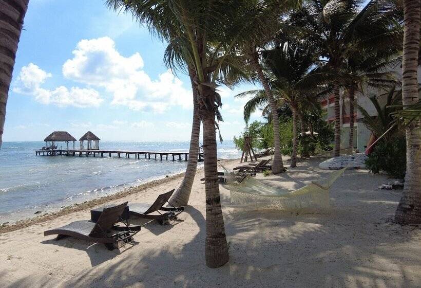 خانه 1 خوابه, Alea Tulum
