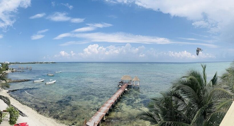 سوئیت پنت هاوس, Alea Tulum