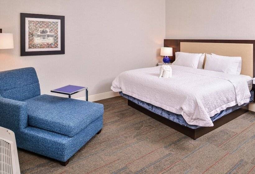 اتاق استاندارد با تخت دوبل برای معلولان, Hampton Inn Benson
