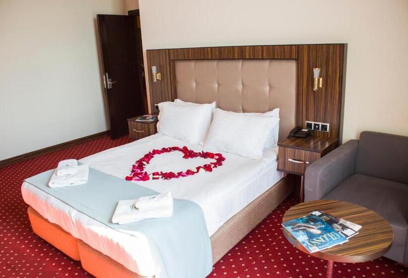 اتاق استاندارد, Legend Business Hotel Batumi