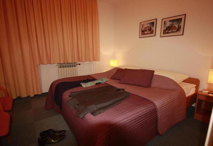 اتاق استاندارد با تخت بزرگ, Vila Romana