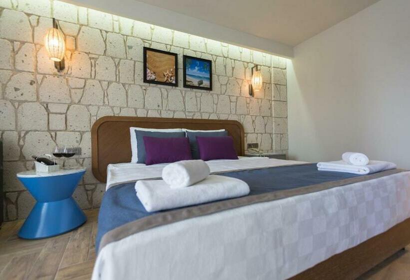 اتاق لوکس با چشم‌انداز باغ, Risus Beach Resort