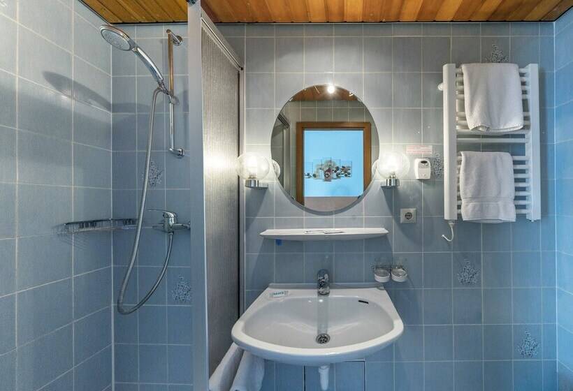 اتاق استاندارد یک نفره, Aparthotel Steiermark