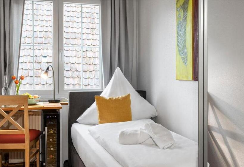 اتاق استاندارد یک نفره, Sonnenstube Hagnau