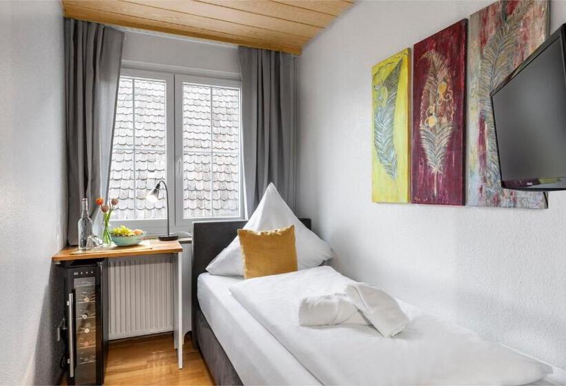 اتاق استاندارد یک نفره, Sonnenstube Hagnau