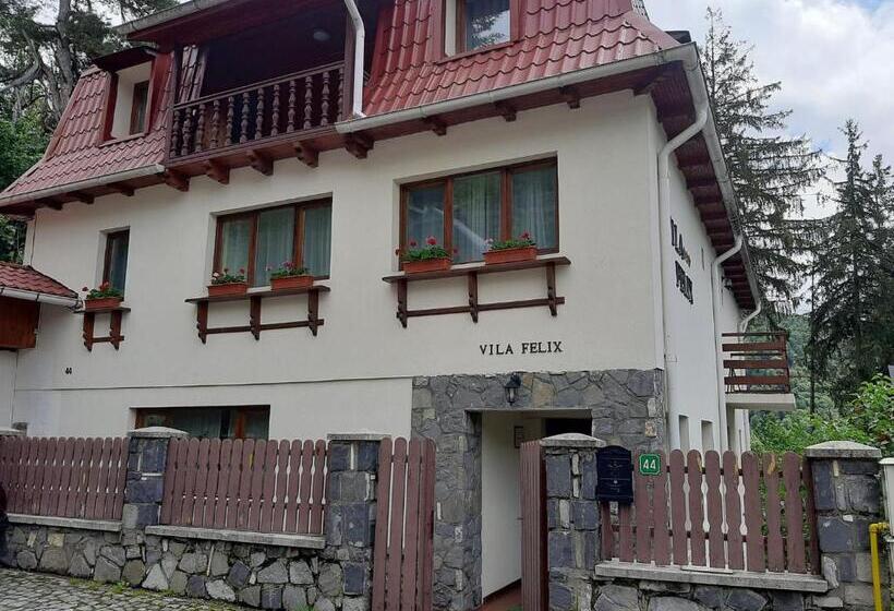 ویلای لوکس 1 خوابه, Vila Felix