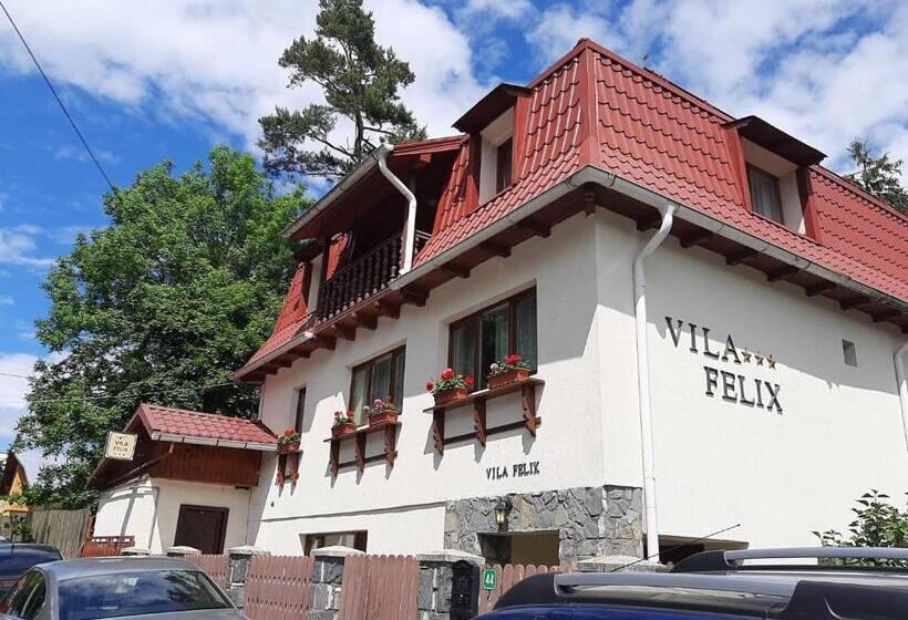 ویلای لوکس 1 خوابه, Vila Felix