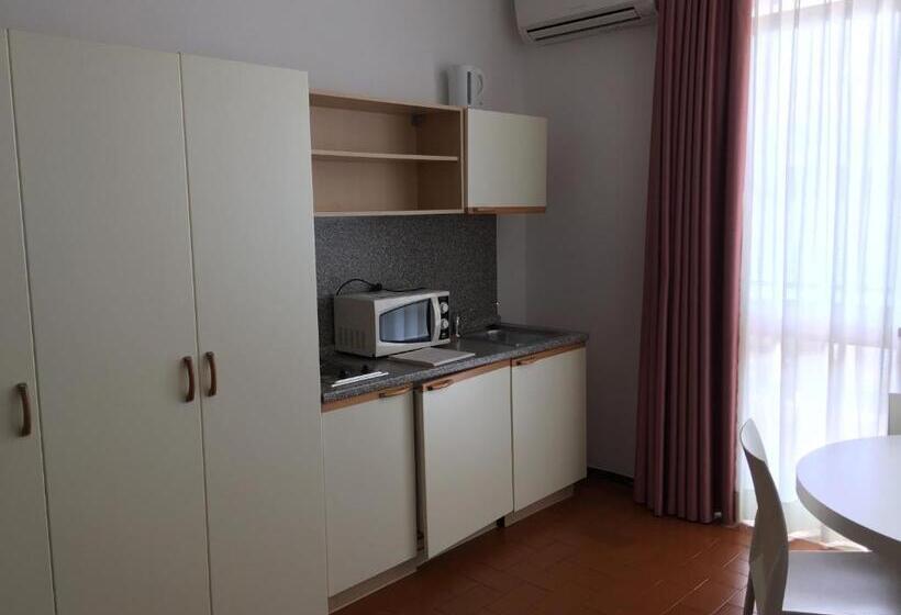 Standard studio with lake view, Residence Wieland