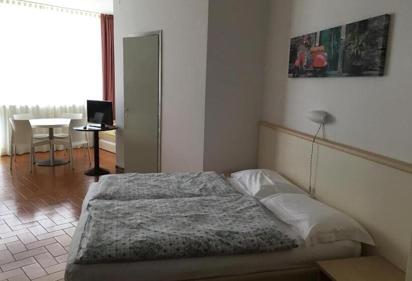 Standard studio with lake view, Residence Wieland