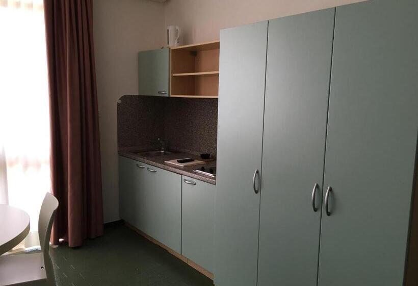 Standard studio with lake view, Residence Wieland
