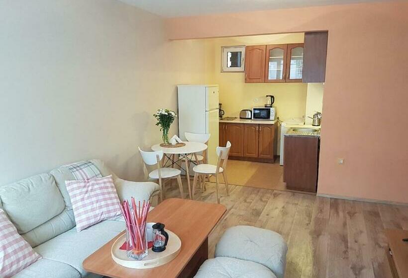 آپارتمان 1 خوابه, Sofia Central Hotel Apartments