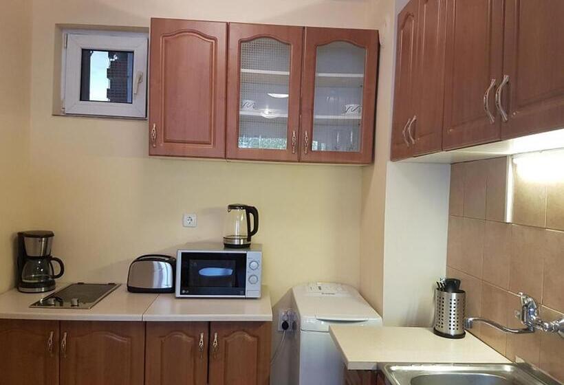 آپارتمان 1 خوابه, Sofia Central Hotel Apartments