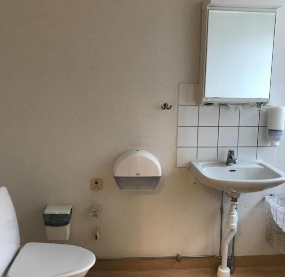 اتاق استاندارد سه تخته با سرویس بهداشتی مشترک, Halmstad Hotell & Vandrarhem Kaptenshamn