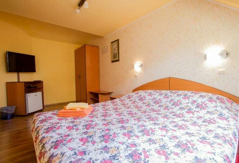 اتاق اکونومی, Pension Casa Timar