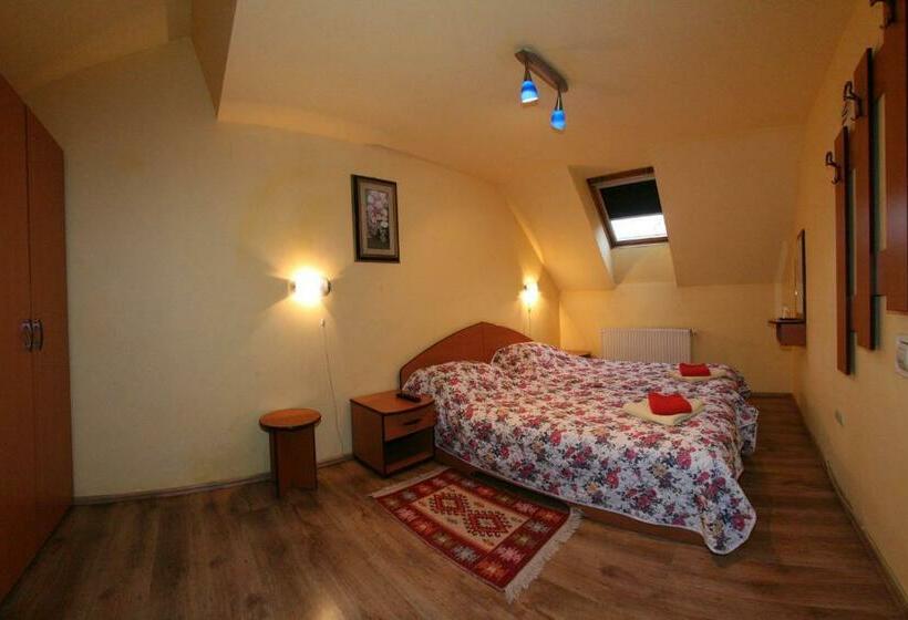 اتاق اکونومی, Pension Casa Timar