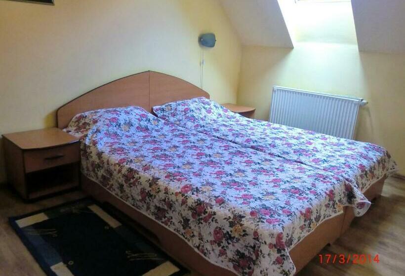 اتاق اکونومی, Pension Casa Timar