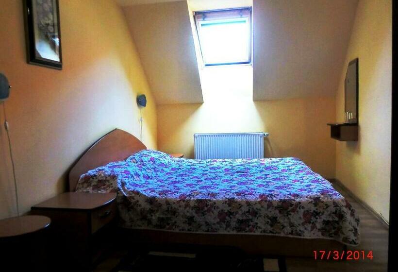 اتاق اکونومی, Pension Casa Timar