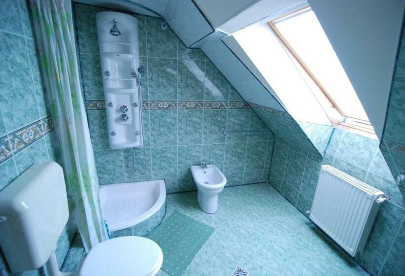 اتاق اکونومی, Pension Casa Timar