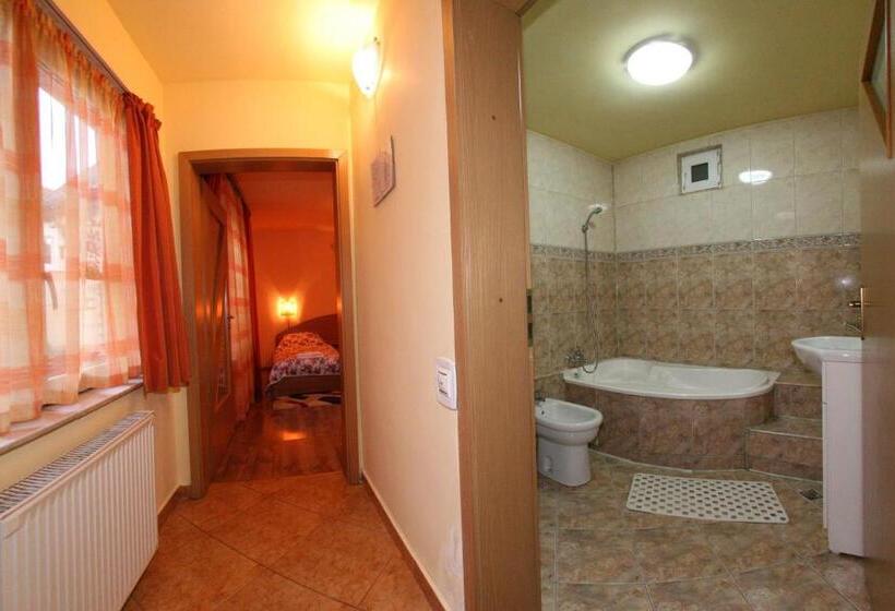 اتاق استاندارد, Pension Casa Timar
