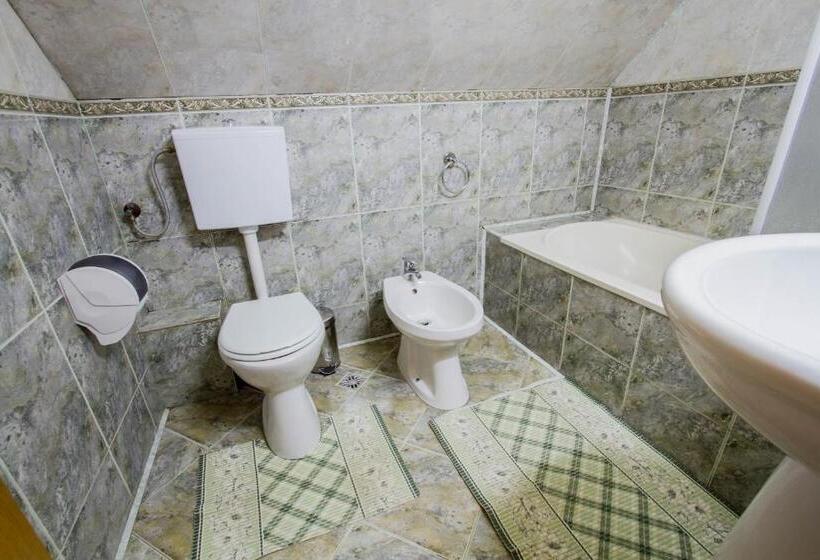 اتاق سوپریور, Pension Casa Timar