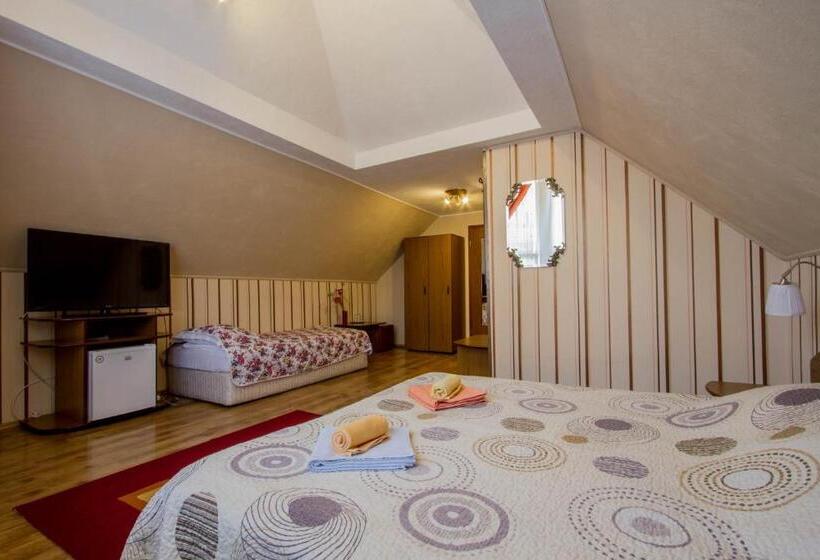 اتاق سوپریور, Pension Casa Timar