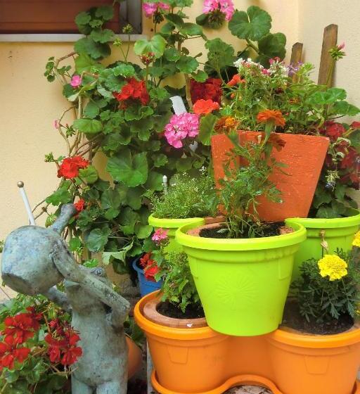 ویلای 1 خوابه, Pension Casa Timar