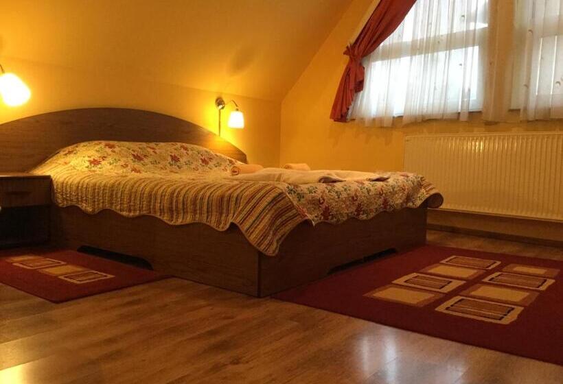 ویلای 1 خوابه, Pension Casa Timar