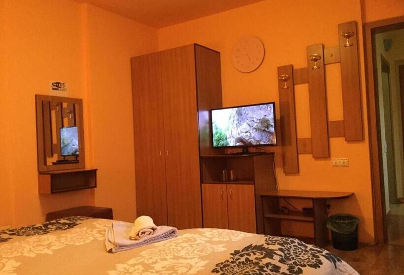 ویلای 1 خوابه, Pension Casa Timar