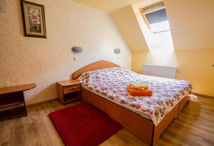 ویلای 1 خوابه, Pension Casa Timar