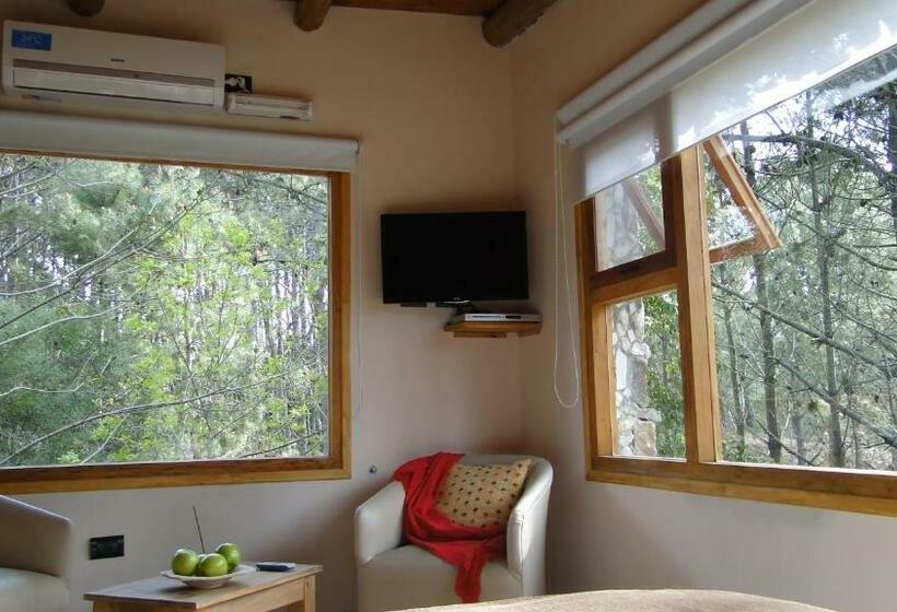 اتاق استاندارد, Posada Piñen