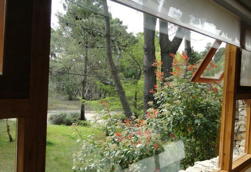اتاق استاندارد, Posada Piñen