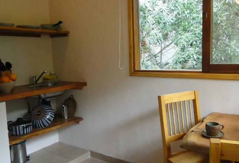 اتاق استاندارد, Posada Piñen