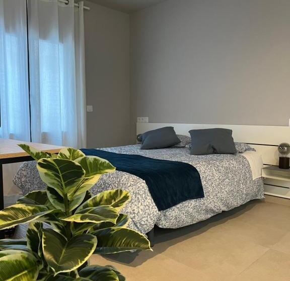 استودیو خانوادگی, Pensió I Apartament Torrent