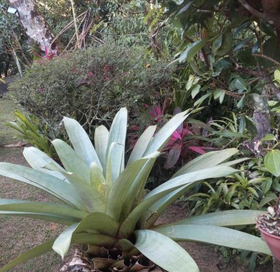 اتاق استاندارد با بالکن, Pousada Cachoeira