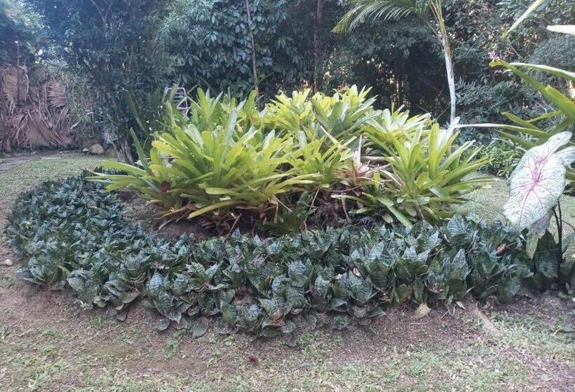 اتاق استاندارد با بالکن, Pousada Cachoeira