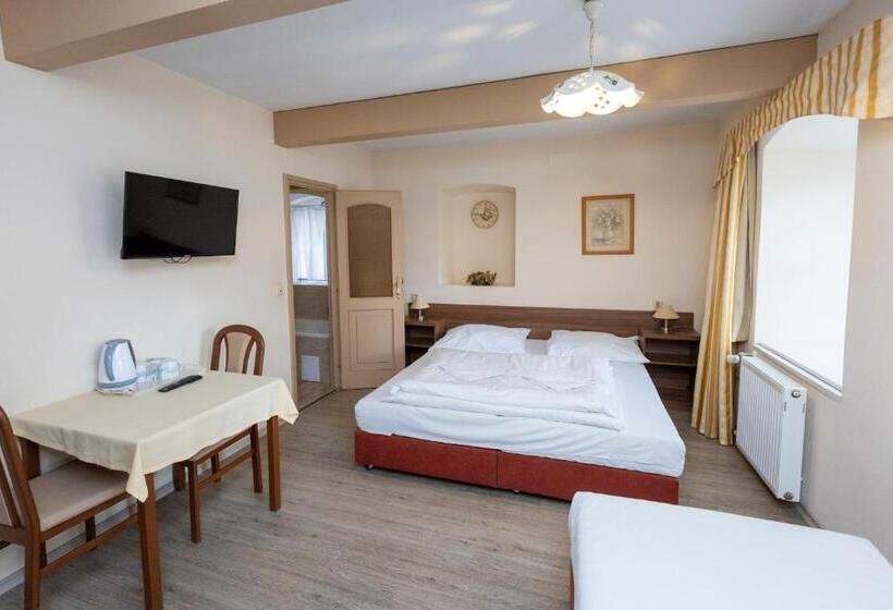 اتاق استاندارد سه نفره, Pension Centrum