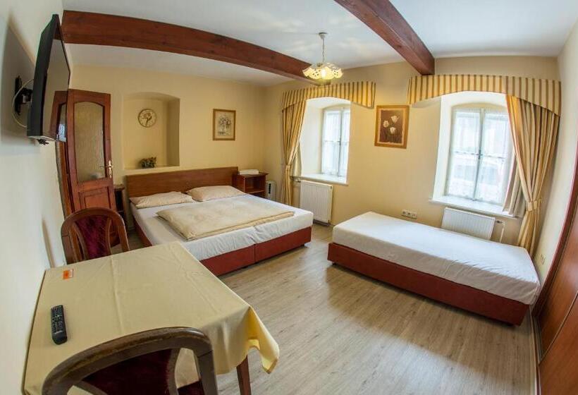 اتاق استاندارد سه نفره, Pension Centrum