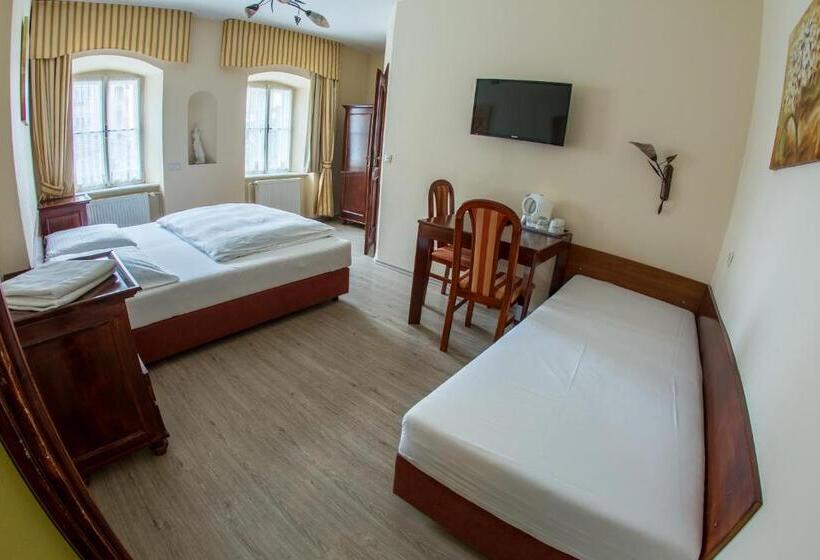 اتاق استاندارد سه نفره, Pension Centrum