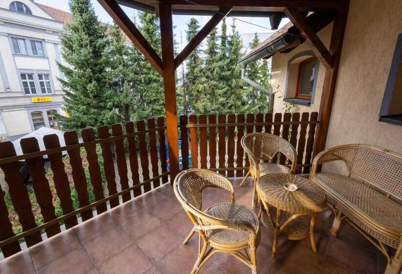 آپارتمان 2 خوابه, Pension Centrum
