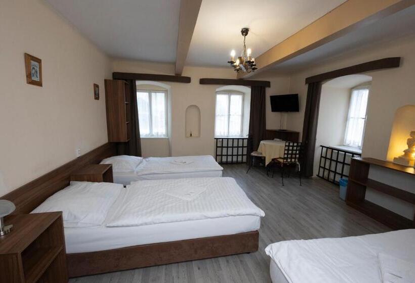 اتاق استاندارد سه نفره, Pension Centrum
